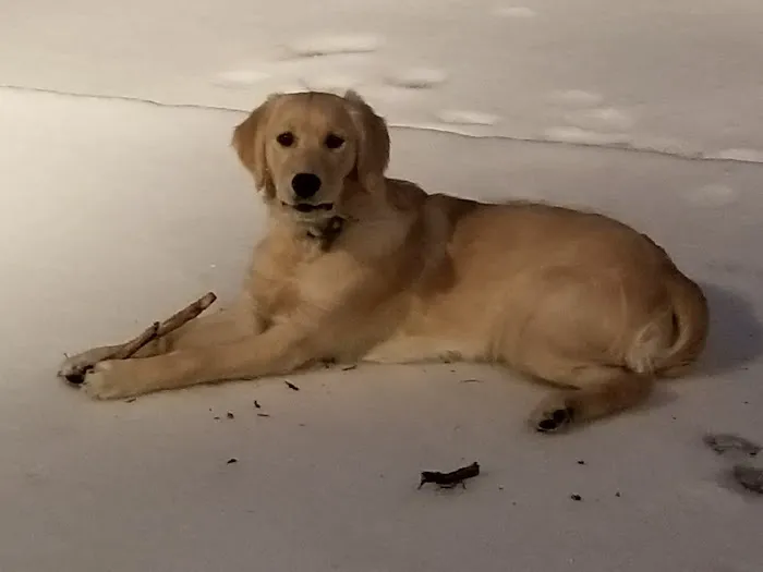 Avon Veterinary Clinic Picture 3