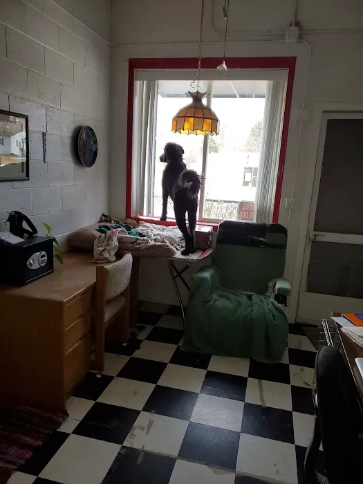 DOGGIE-DRIVE-THRU..........Kitty's too! Picture 4