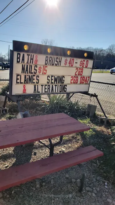 DOGGIE-DRIVE-THRU..........Kitty's too! Picture 3