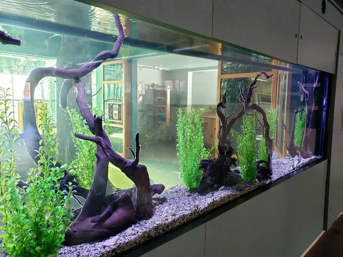 Aquamoon, LLC Picture 2