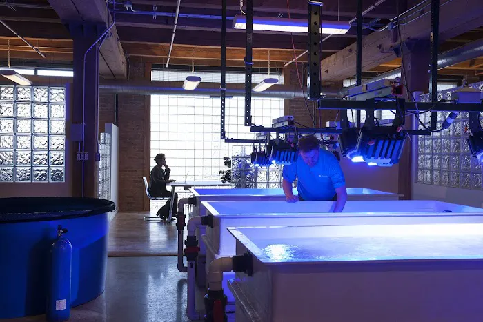 Aquamoon, LLC Picture 4