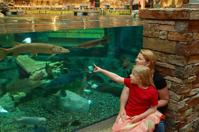 Aquamoon, LLC Picture 5