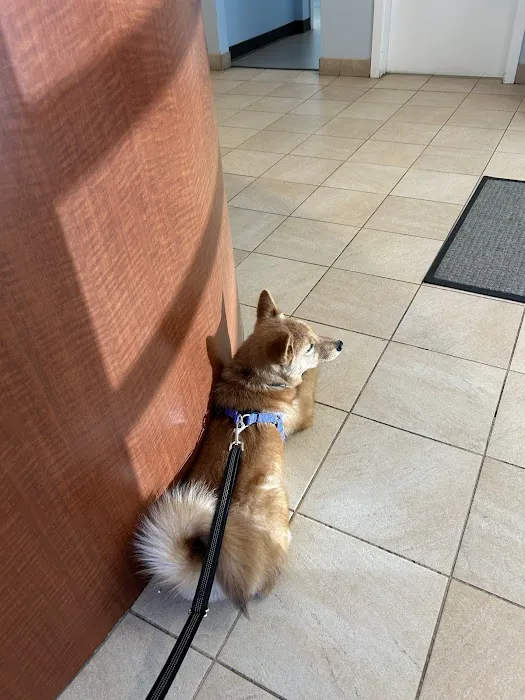 Roaring Brook Veterinary Hospital Picture 3