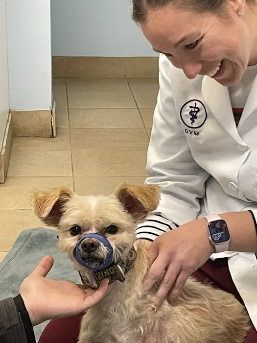 Roaring Brook Veterinary Hospital Picture 1