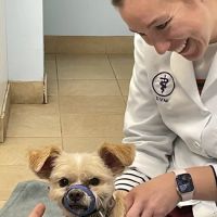 Roaring Brook Veterinary Hospital ico