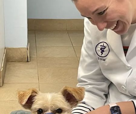 Roaring Brook Veterinary Hospital