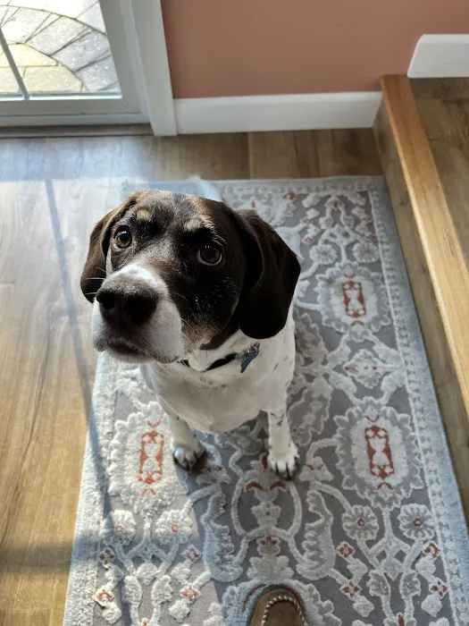 Roaring Brook Veterinary Hospital Picture 9