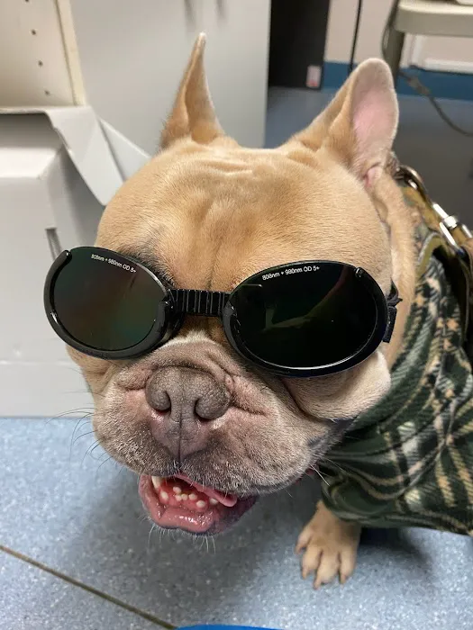 Roaring Brook Veterinary Hospital Picture 8