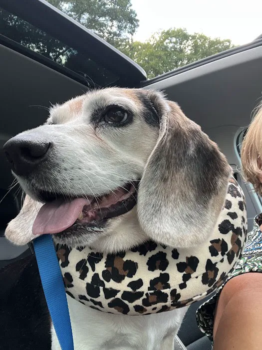 Roaring Brook Veterinary Hospital Picture 6