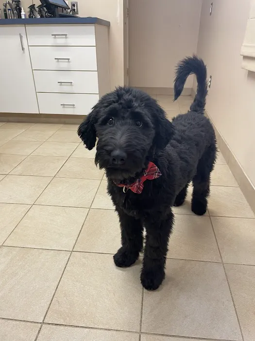 Roaring Brook Veterinary Hospital Picture 5