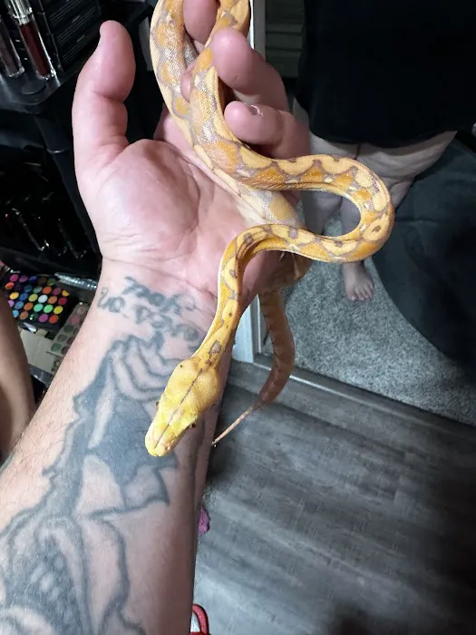 Magnum X Exotics Picture 8