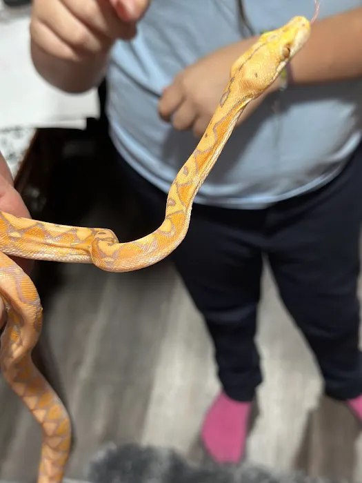 Magnum X Exotics Picture 7