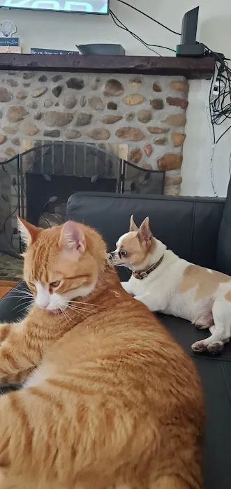 Hopmeadow Animal Hospital Picture 1