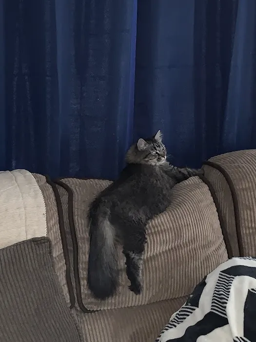 Hopmeadow Animal Hospital Picture 6