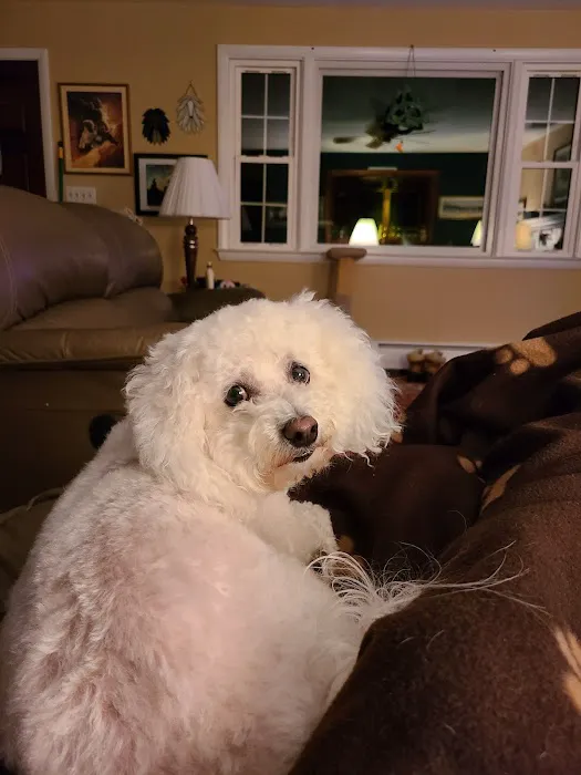 Hopmeadow Animal Hospital Picture 7