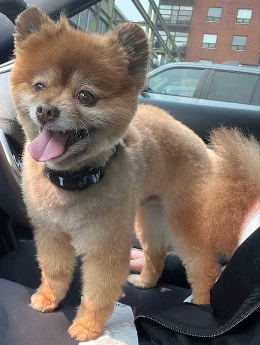 Kriser's Natural Pet Picture 4