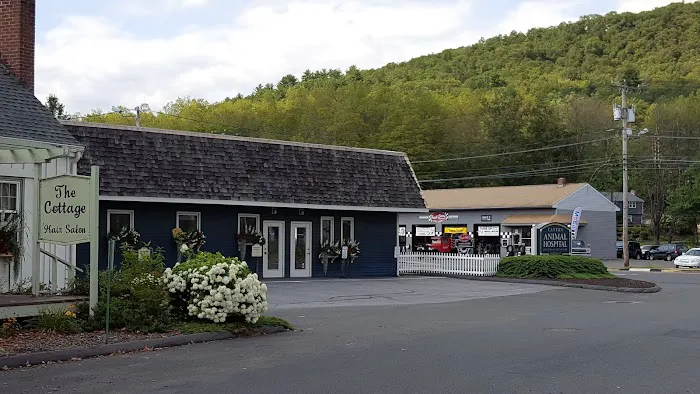 Canton Animal Hospital LLC Picture 7