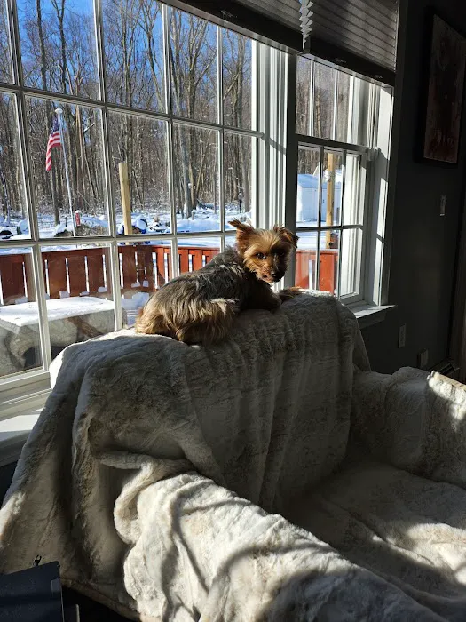 Middlebury Animal Hospital Associates, LLC Picture 3