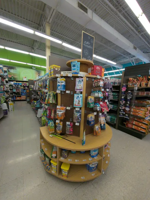 Petco Picture 7