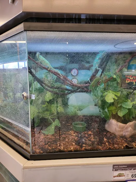 Petco Picture 5