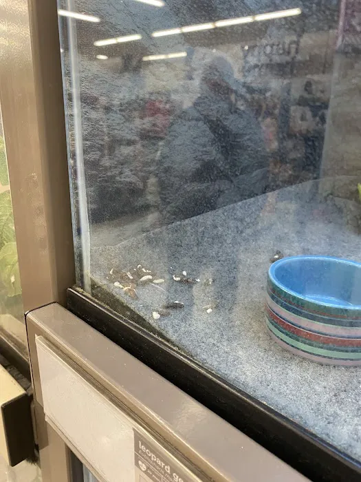 Petco Picture 8