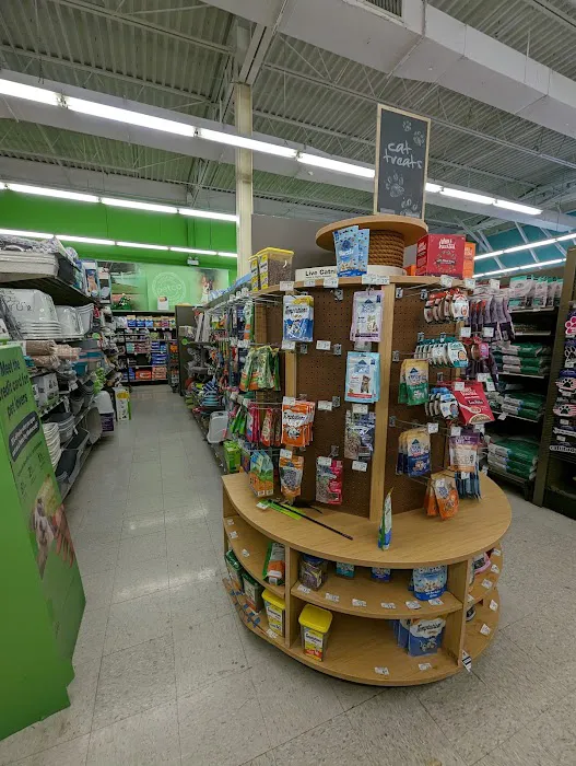 Petco Picture 4