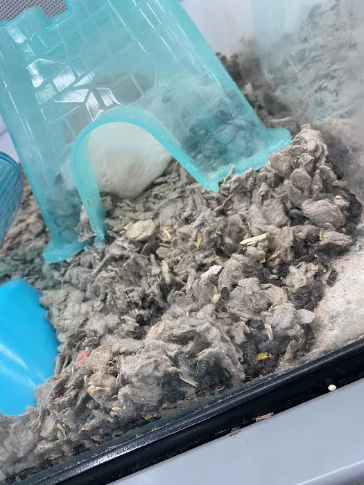 Petco Picture 10