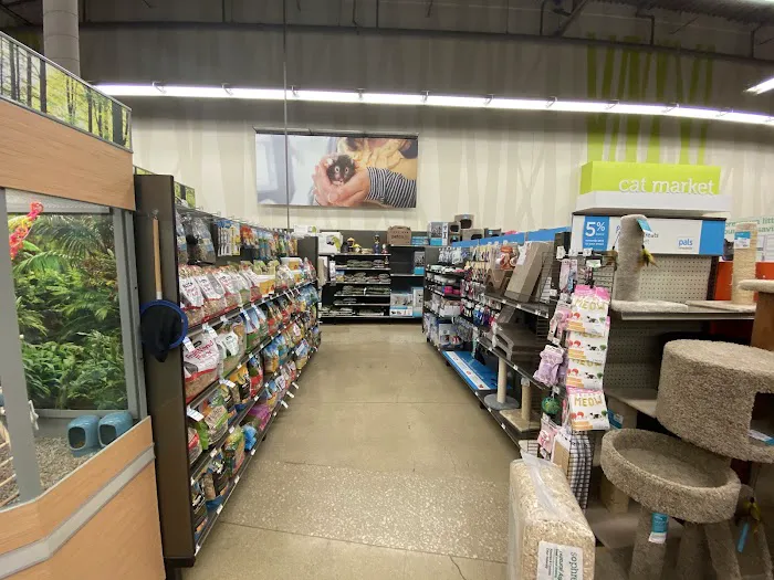 Petco Picture 2