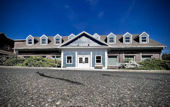 Stone Veterinary Hospital Picture 7