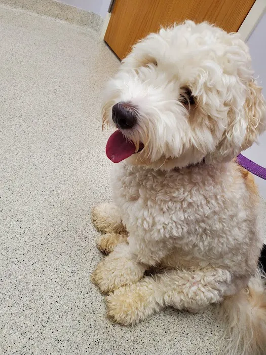Stone Veterinary Hospital Picture 5