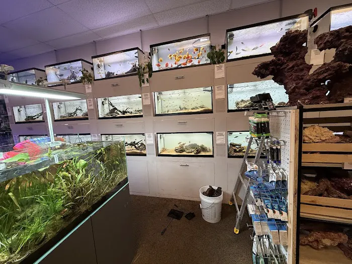 Big Fish Aquarium Picture 6