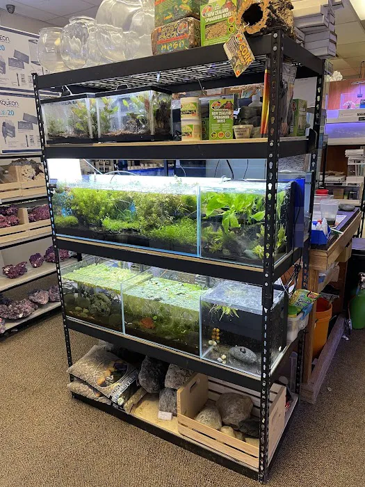 Big Fish Aquarium Picture 3