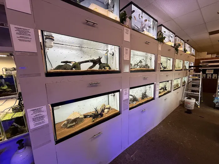 Big Fish Aquarium Picture 4