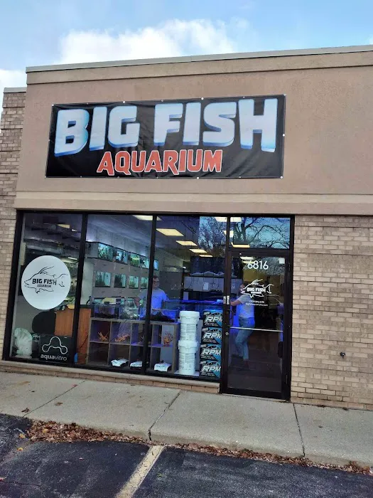 Big Fish Aquarium Picture 9