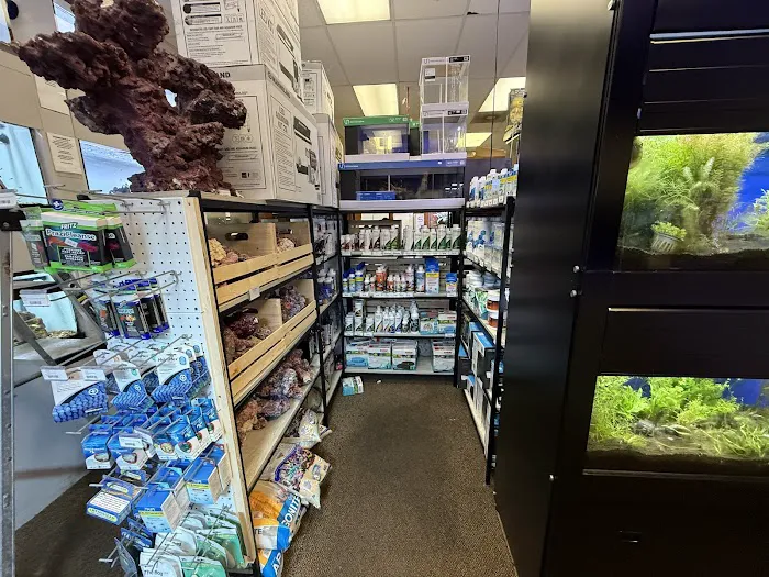 Big Fish Aquarium Picture 8