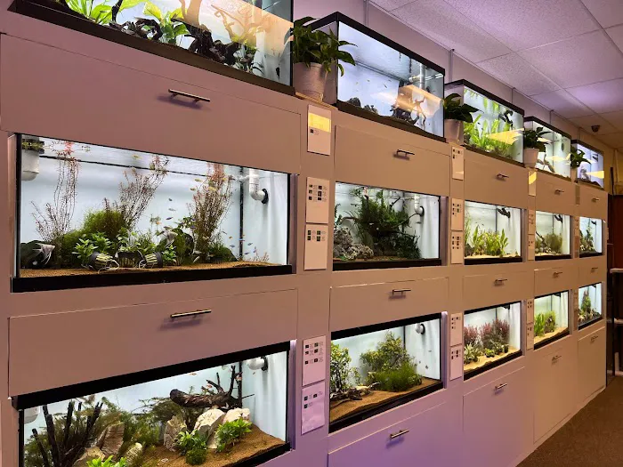 Big Fish Aquarium Picture 7