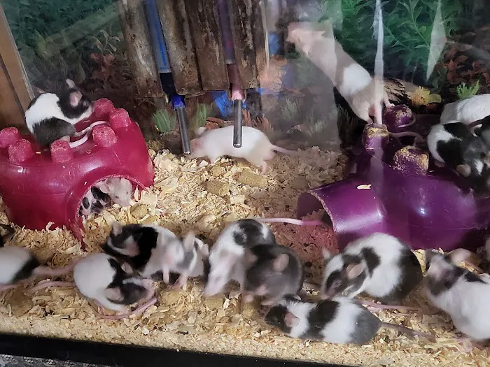 Chris' Tropical Treasures Picture 1