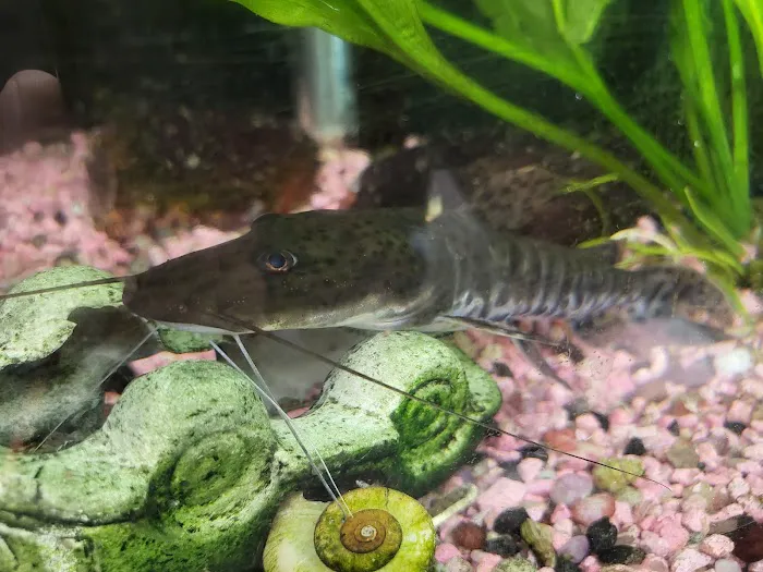 Chris' Tropical Treasures Picture 2