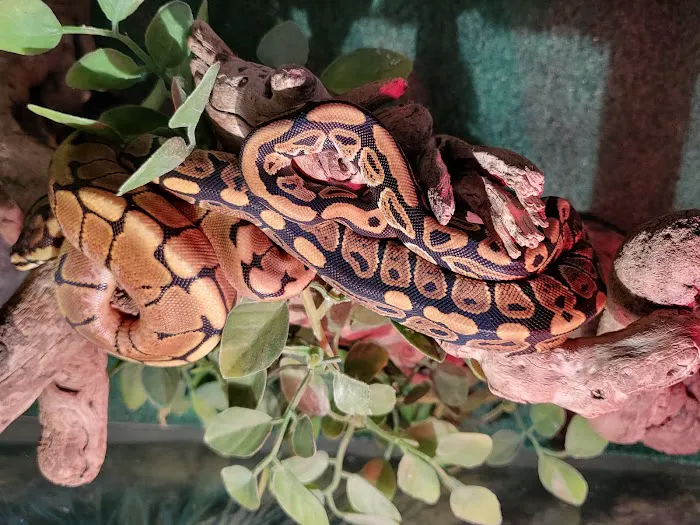 Chris' Tropical Treasures Picture 7