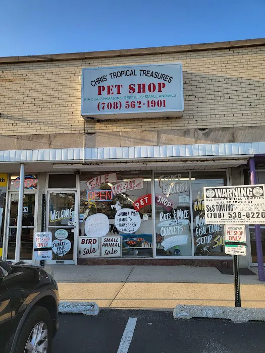 Chris' Tropical Treasures Picture 3