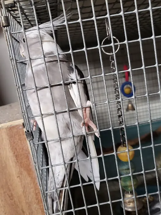 Chris' Tropical Treasures Picture 5