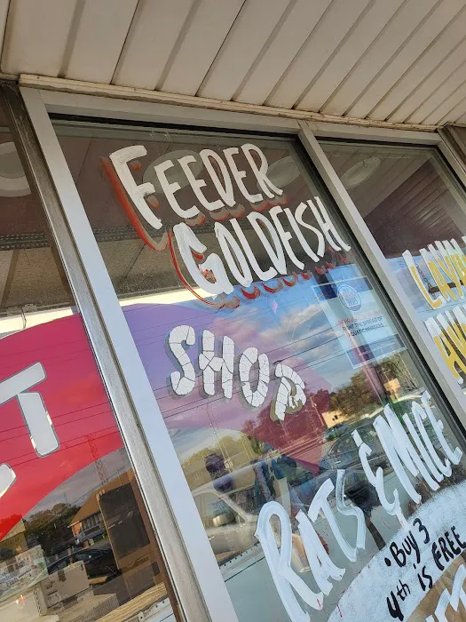 Chris' Tropical Treasures Picture 10