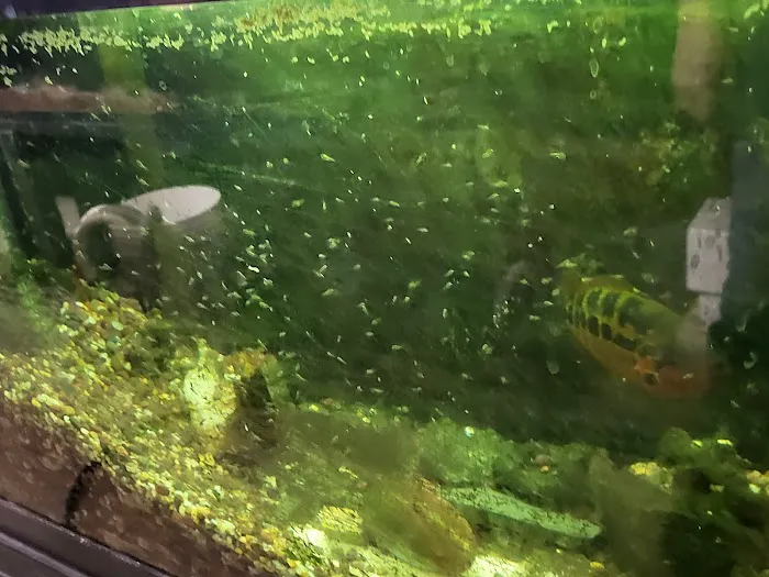 Chris' Tropical Treasures Picture 9