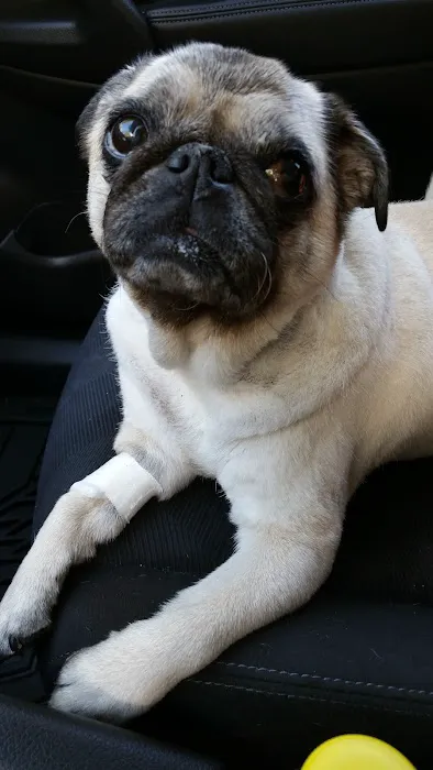 Southbury Veterinary Hospital Picture 2