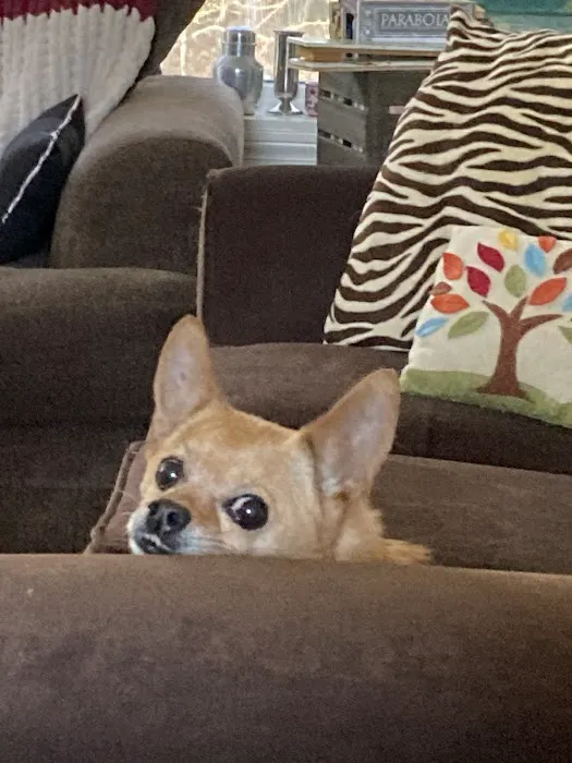 Southbury Veterinary Hospital Picture 6