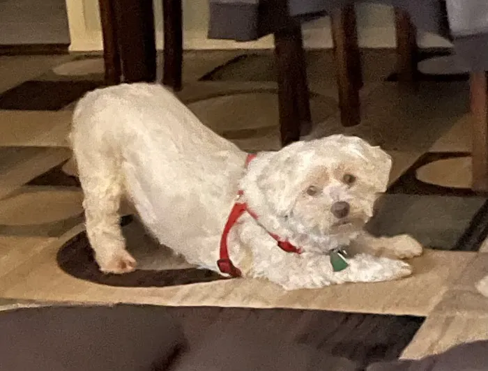 Southbury Veterinary Hospital Picture 5