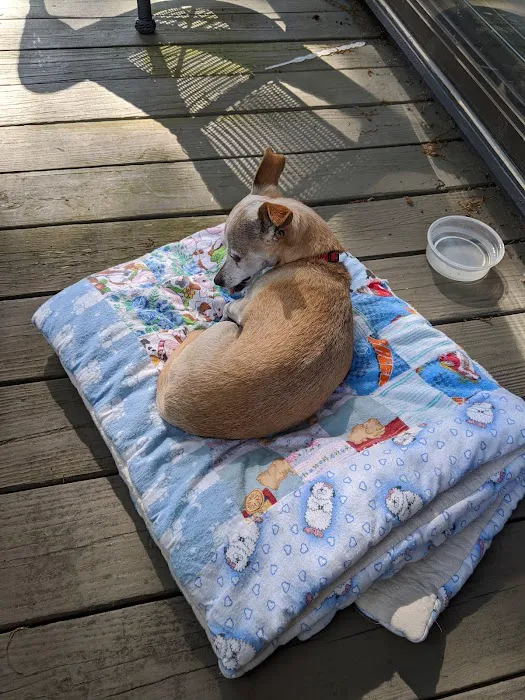 Southbury Veterinary Hospital Picture 1