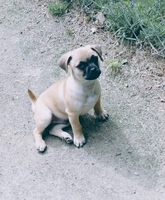 Southbury Veterinary Hospital Picture 4