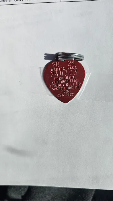 Berkshire Veterinary Hospital Picture 3