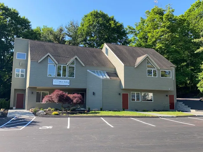 Pet Town Veterinary Picture 3